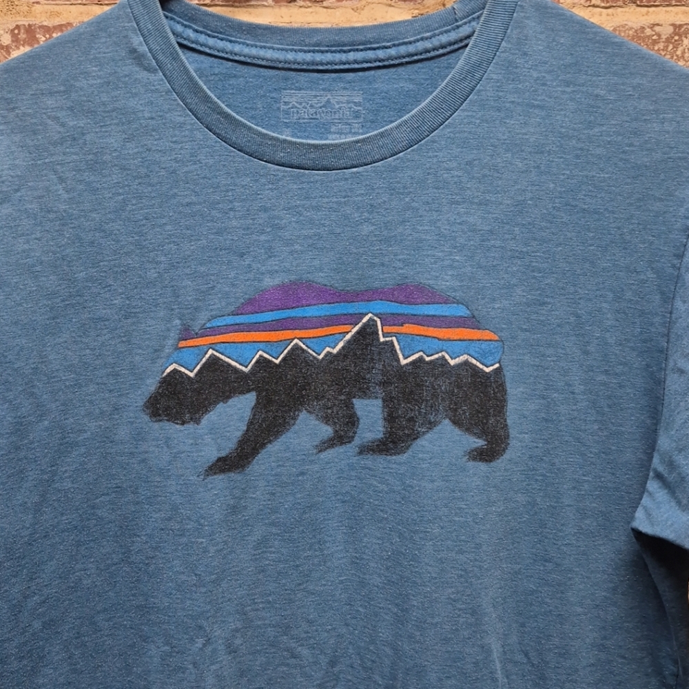 Patagonia men's medium blue bear T-SHIRT